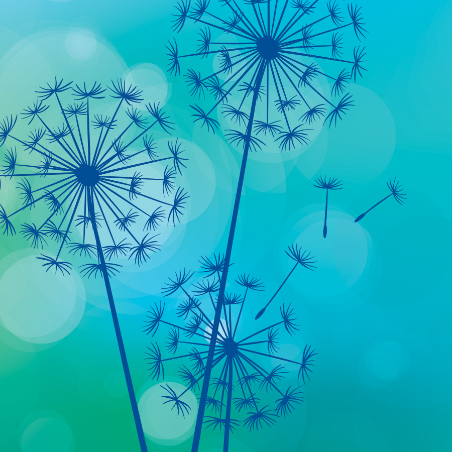 Palliative care dandelion graphic