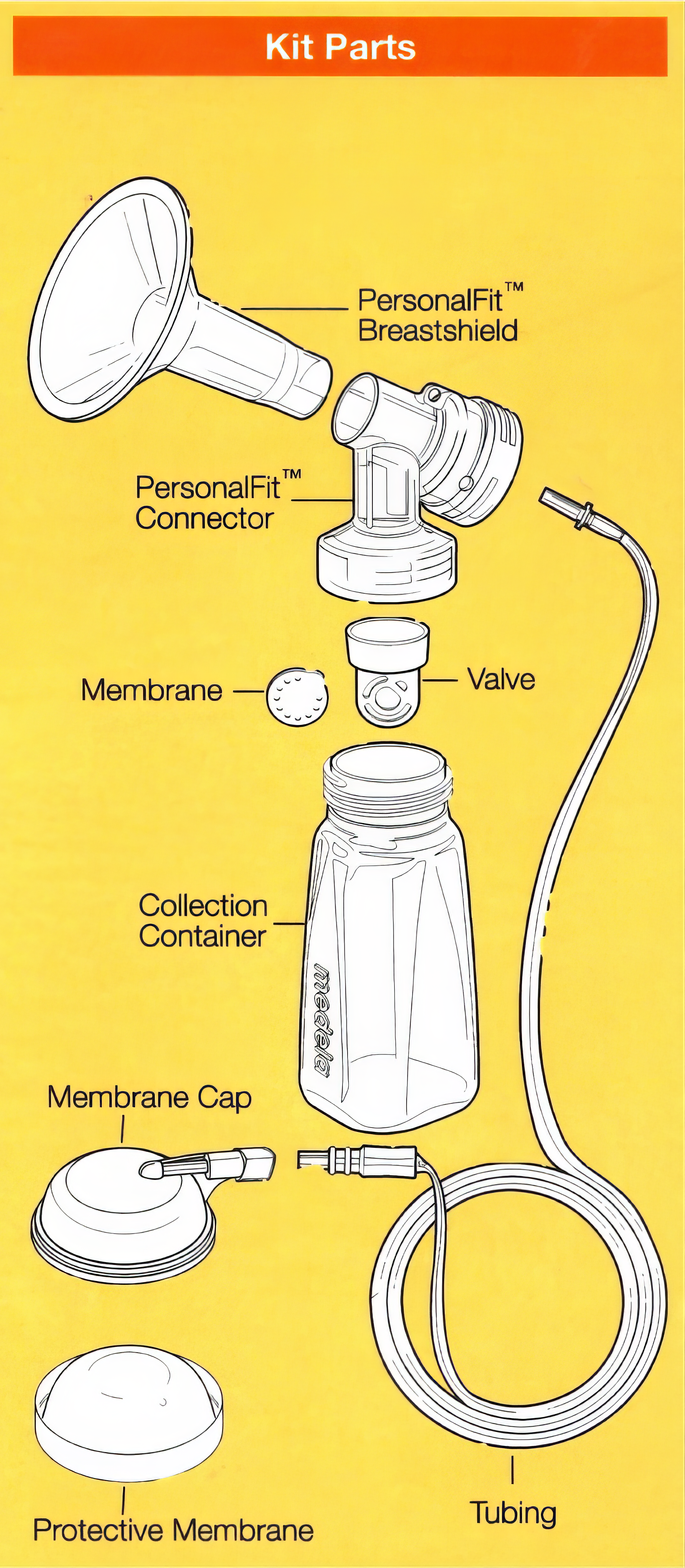 Electric breast pump diagram