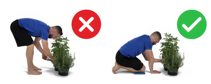 proper posture while gardening