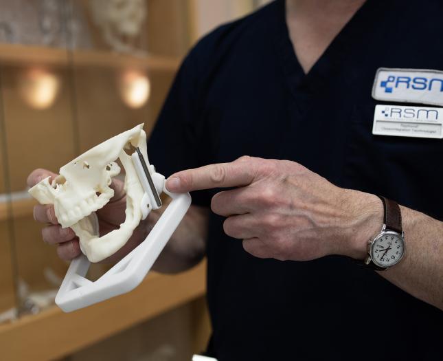 An iRSM team member holds a model of a jaw.
