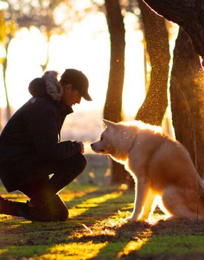 A dog and its owner having a quiet moment under the shade of trees